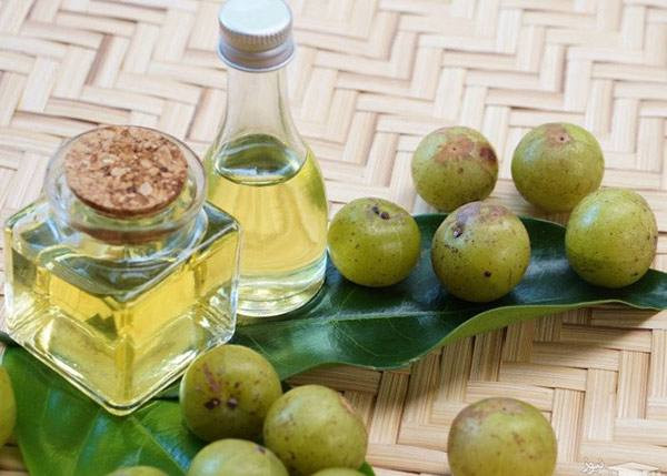 روغن گیاهی آملا ۲۰۰میل
